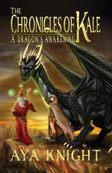 A Dragon's Awakening Read online