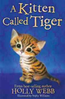 A Kitten Called Tiger Read online
