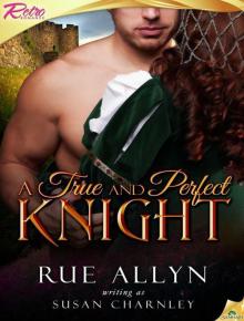 A True and Perfect Knight Read online