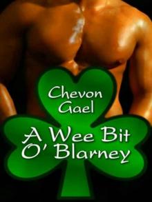 A Wee Bit O' Blarney Read online