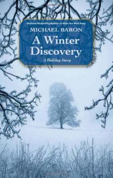 A Winter Discovery Read online