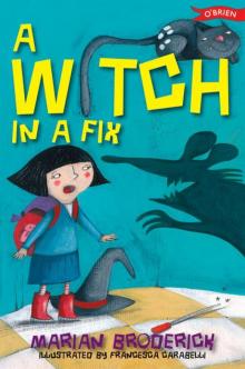 A Witch in a Fix Read online