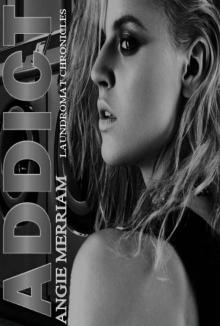 Addict (The Laundromat Chronicles Book 2) Read online