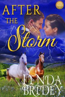 After the Storm: Clean Historical Western Cowboy Romance Novel (Dawson Chronicles Book 2)