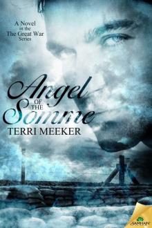 Angel of the Somme: The Great War, Book 1