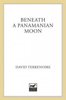 Beneath a Panamanian Moon