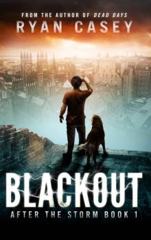 Blackout (After the Storm Book 1)