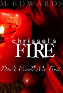 Chrissel's Fire Read online