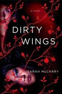 Dirty Wings Read online