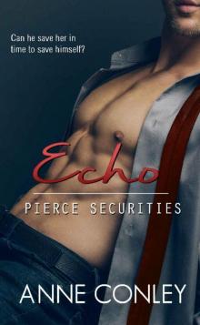 Echo (Pierce Securities Book 9)