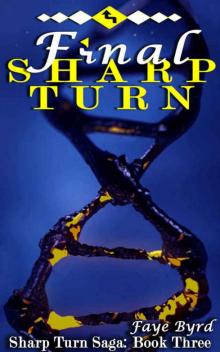 Final Sharp Turn (Sharp Turn Saga #3) Read online