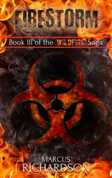 Firestorm: Book III of the Wildfire Saga Read online