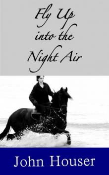 Fly Up into the Night Air Read online