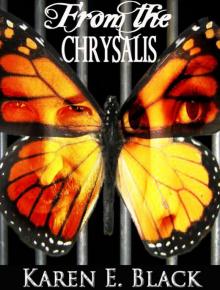 From the Chrysalis: a novel Read online