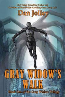 Gray Widow Trilogy 1: Gray Widow's Walk Read online