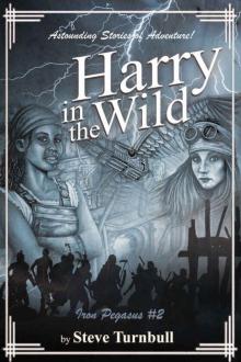 Harry in the Wild: Astounding Stories of Adventure (Iron Pegasus Book 2) Read online