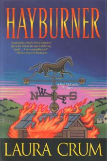 Hayburner (A Gail McCarthy Mystery) Read online
