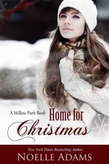 Home for Christmas (Willow Park #5) Read online