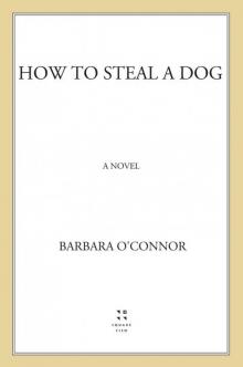 How to Steal a Dog Read online