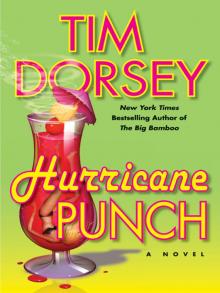 Hurricane Punch Read online
