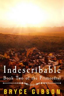 Indescribable: Book Two of the Primordial Read online