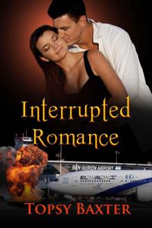 Interrupted Romance Read online