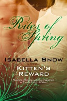 Kitten's Reward Read online