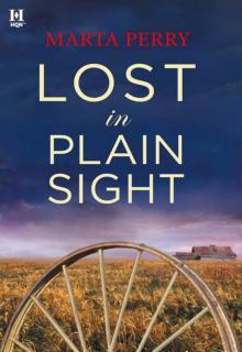 Lost in Plain Sight Read online