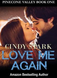 Love Me Again (Pinecone Valley Book 1)