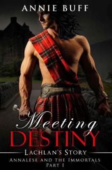 Meeting Destiny; Lachlan’s Story (Annalese and the Immortals) Read online