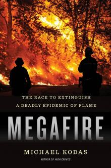 Megafire Read online