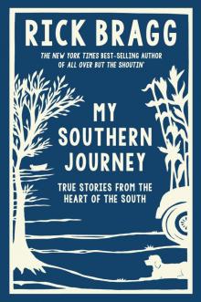 My Southern Journey Read online