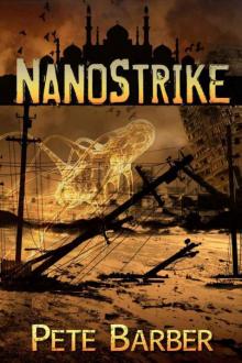 NanoStrike Read online