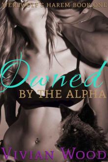 Owned By The Alpha: Werewolf's Harem Book One (Werewolf Harem Series 1) Read online