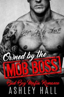 Owned by the Mob Boss Read online