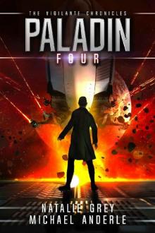 Paladin (The Vigilante Chronicles Book 4)