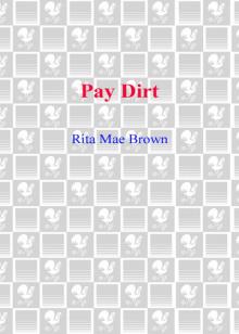 Pay Dirt Read online