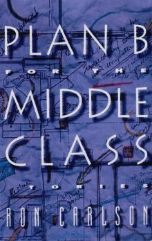 Plan B for the Middle Class: Stories Read online
