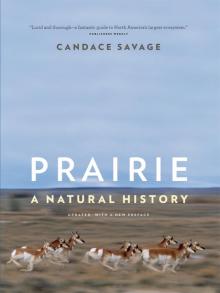 Prairie Read online