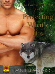 Protecting What's His (To Love and Defend Book 1) Read online