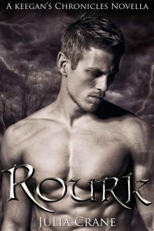 Rourk (Keegan's Chronicles Series Book 4) Read online