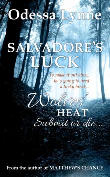 Salvadore's Luck Read online