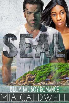 SEAL: A BWWM BAD BOY NAVY SEAL ROMANCE Read online