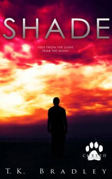 Shade (Shade Chronicles Book 1) Read online