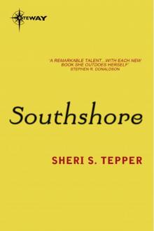 Southshore Read online