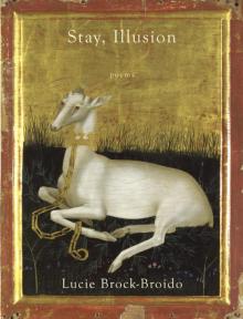 Stay, Illusion Read online