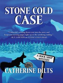 Stone Cold Case (A Rock Shop Mystery) Read online