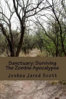 Surviving The Zombie Apocalypse (Book 1): Sanctuary Read online