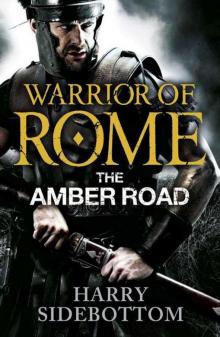 The Amber Road wor-6 Read online