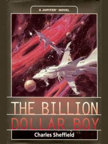 The Billion Dollar Boy Read online